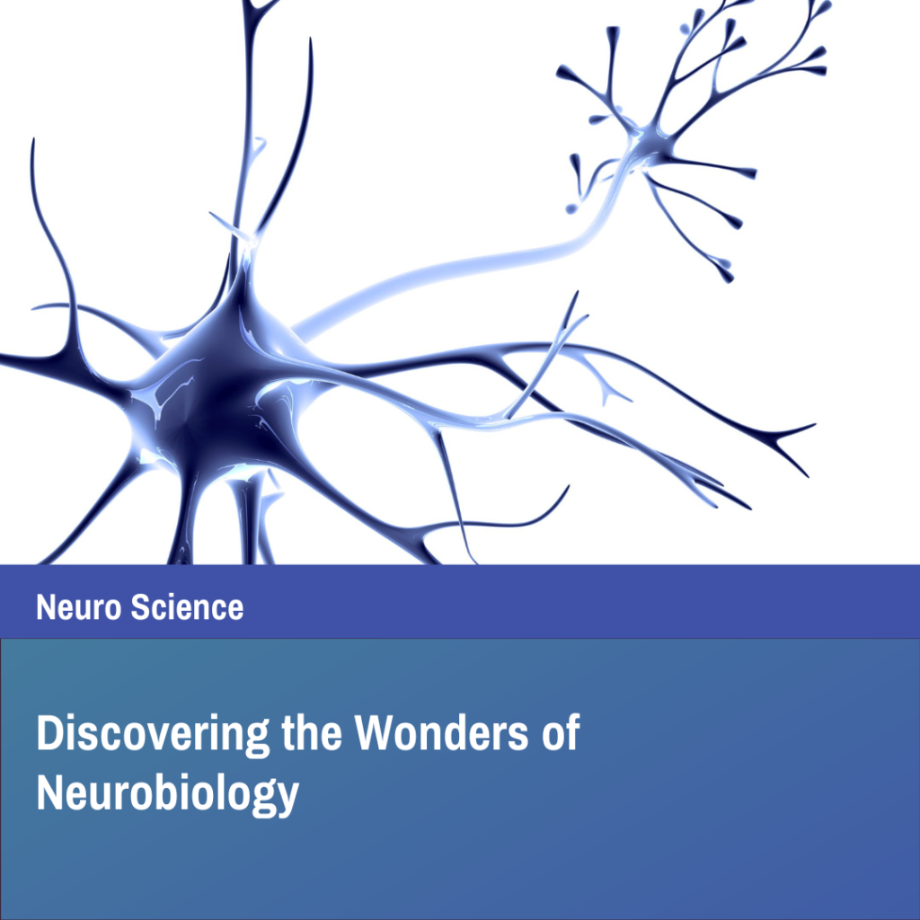 Image showing the wonders of Neurobiology