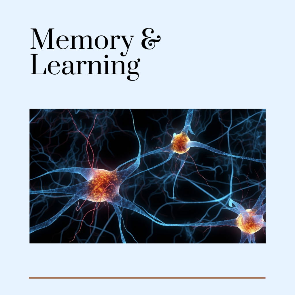 Image showing memory and learning