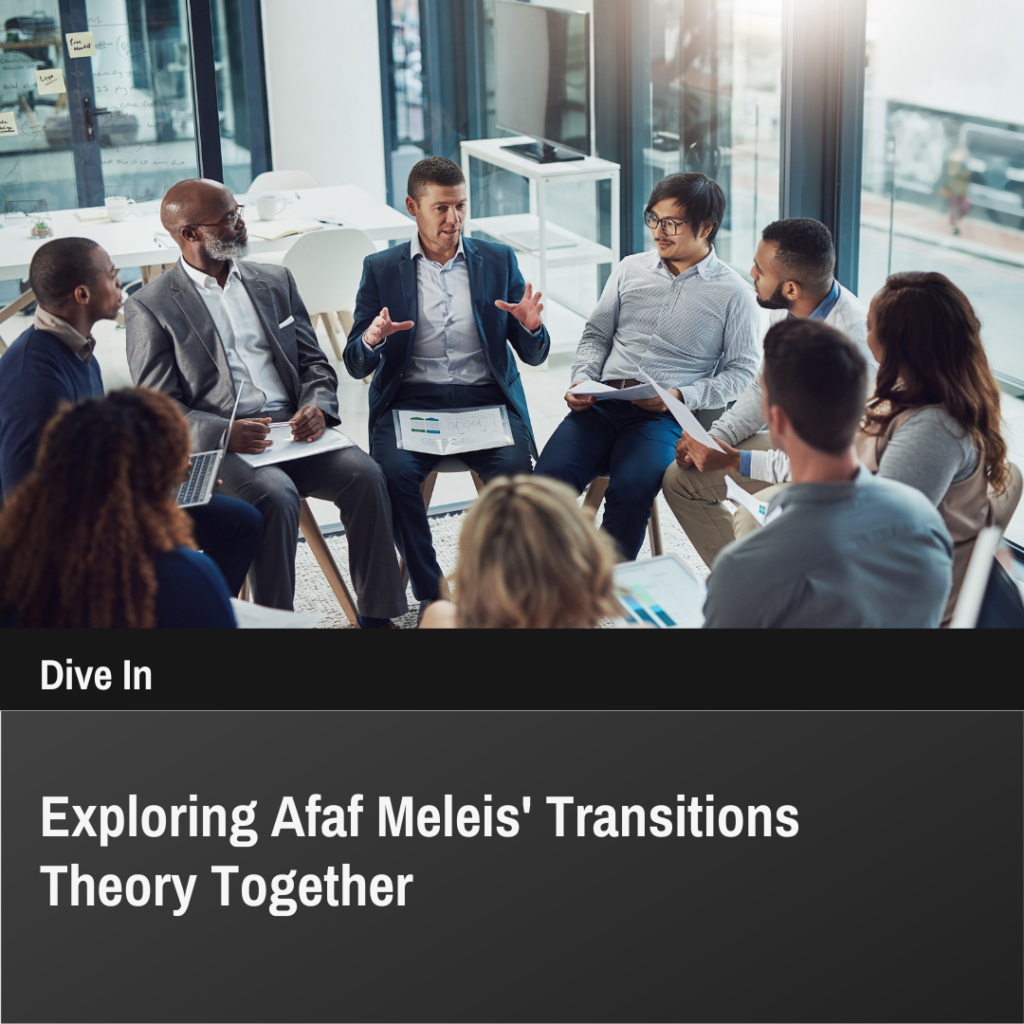 Image showing Afaf Meleis's Theory