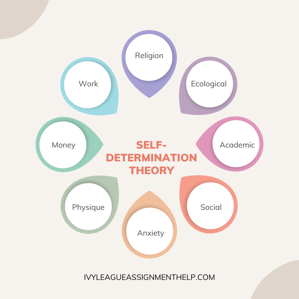 Image showing self-determination theory